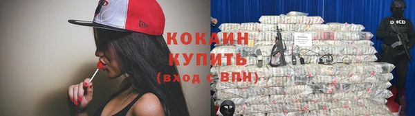 прущая мука Гусев