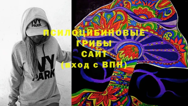 прущая мука Гусев