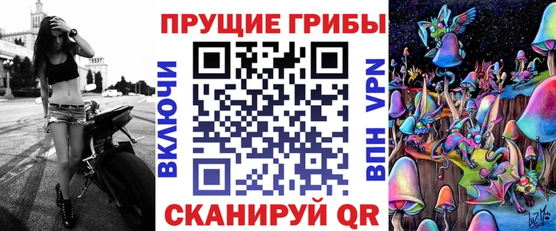 Псилоцибиновые грибы Psilocybe  где найти   Павловск 